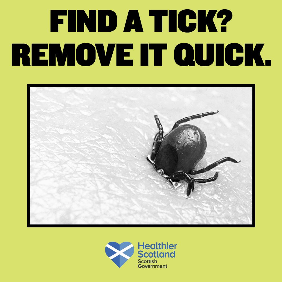 tick poster