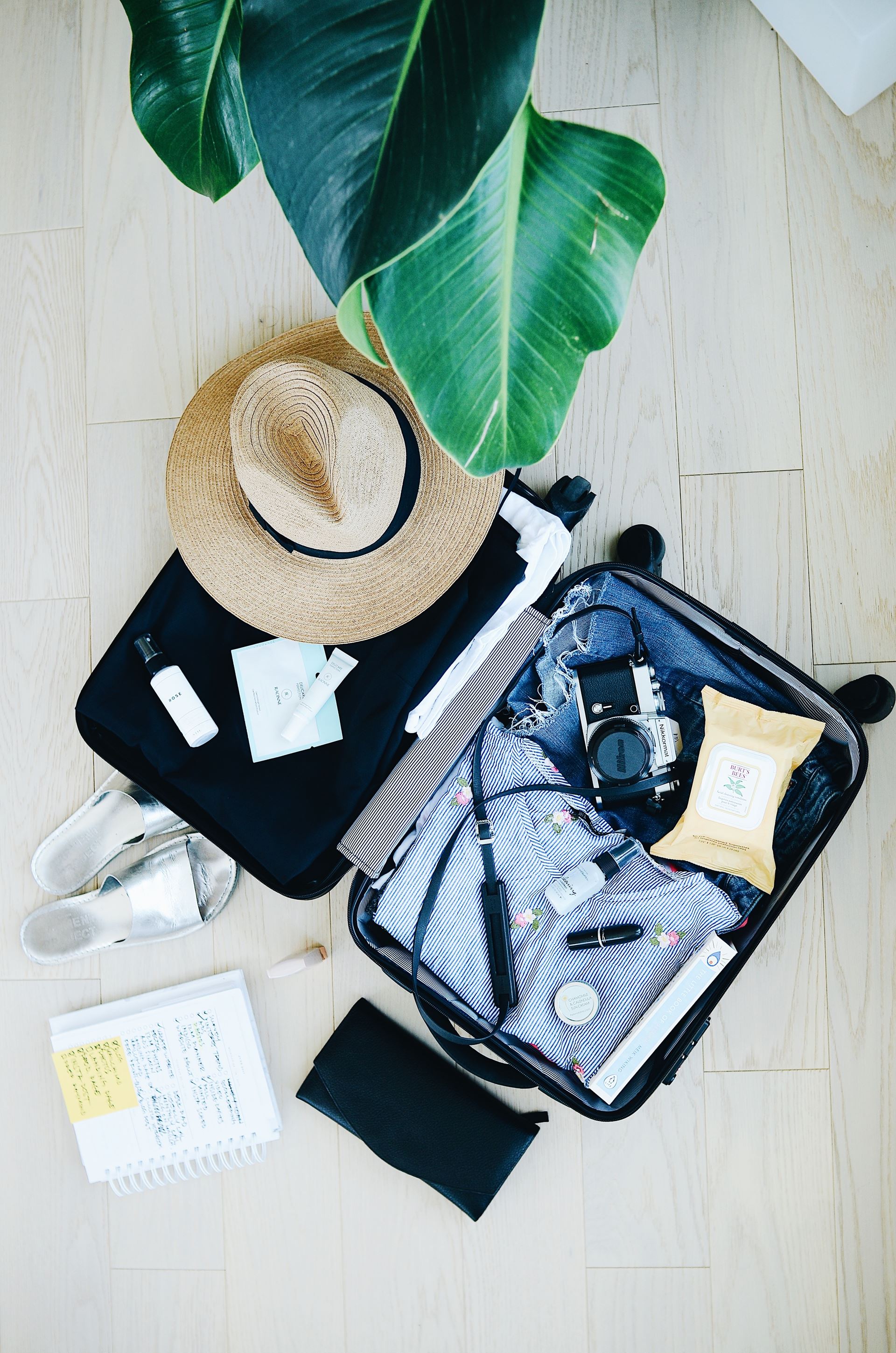 travel items